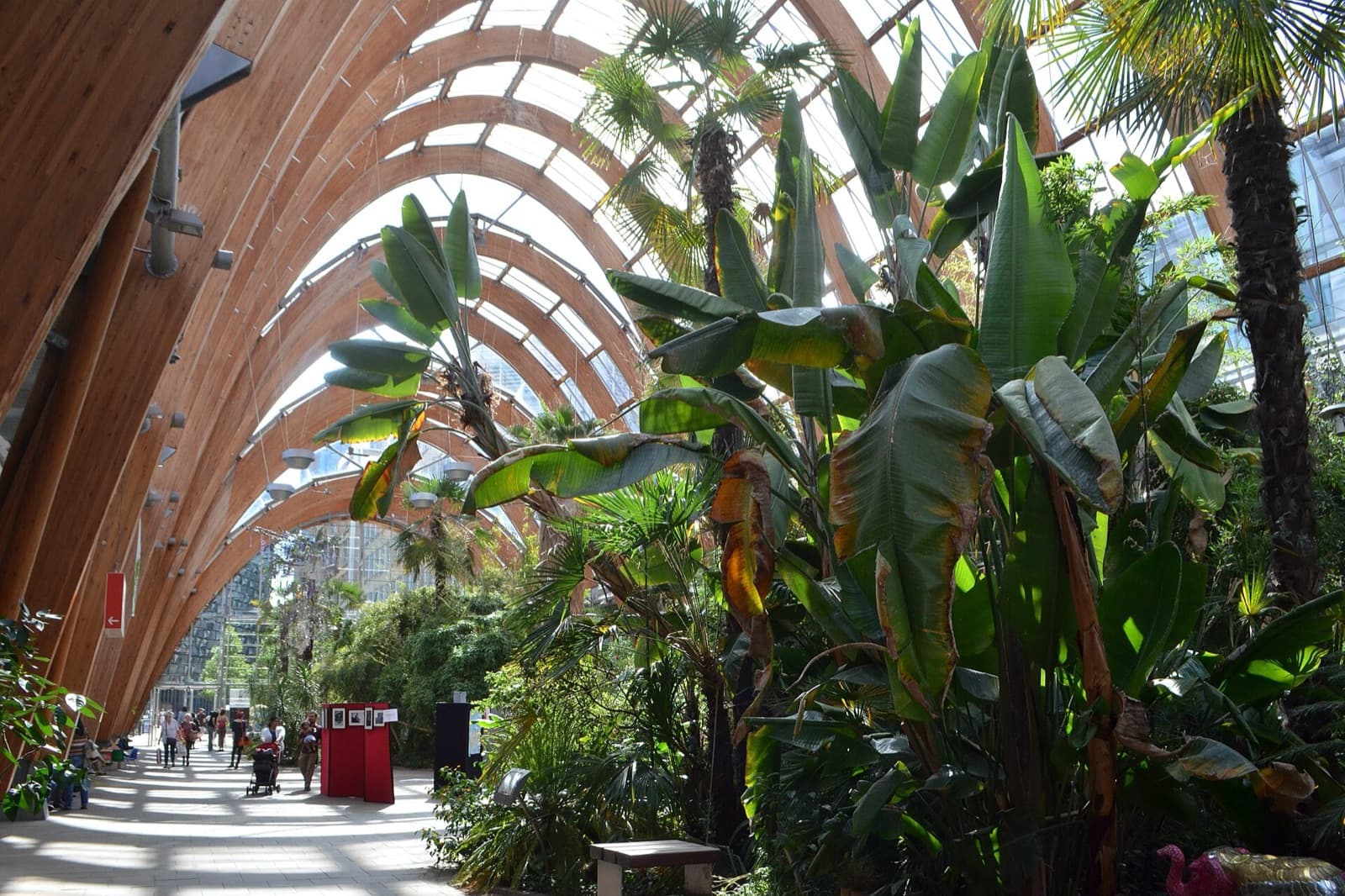The Winter Garden, Sheffield